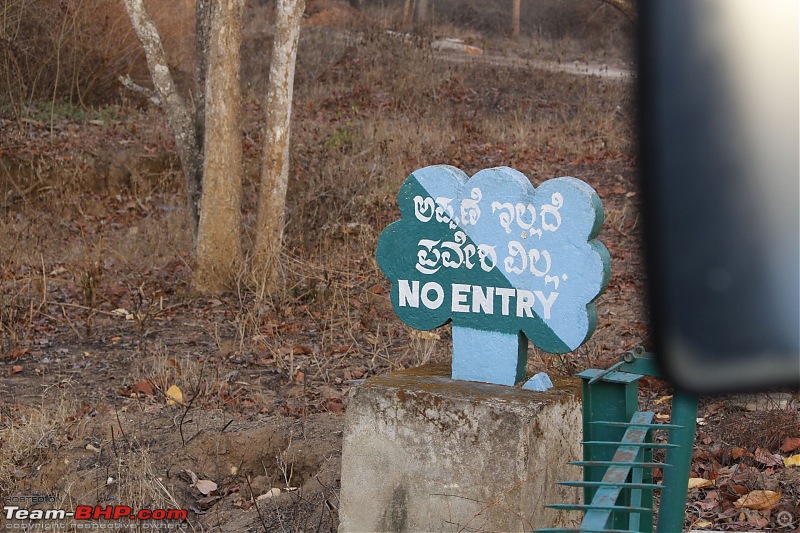 Honda Mobilio Drive: 36 Hairpins, Bandipur Tiger Reserve & Namdroling Monastery-3.jpg