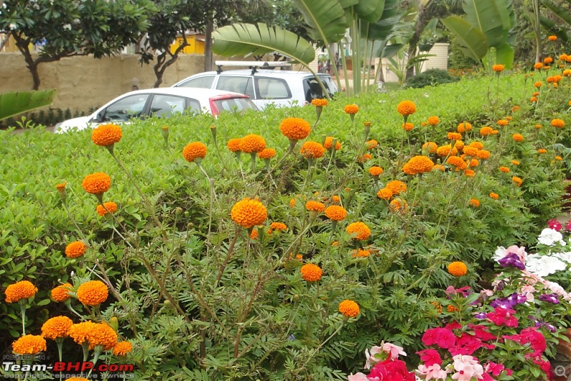 The Call of Lord Jagannath: Weekend Getaway to Puri from Kolkata-dsc07861.jpg