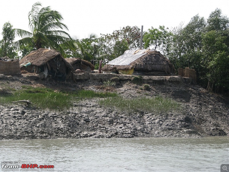 Into the Mangroves of the Sundarbans-img_0036.jpg