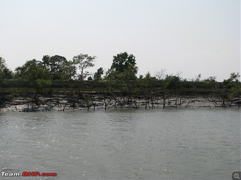 Into the Mangroves of the Sundarbans-img_0037.jpg