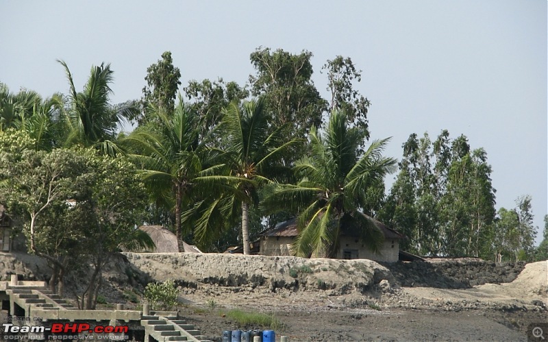 Into the Mangroves of the Sundarbans-img_0053.jpg