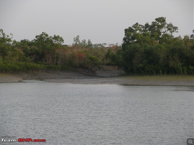 Into the Mangroves of the Sundarbans-img_0062.jpg