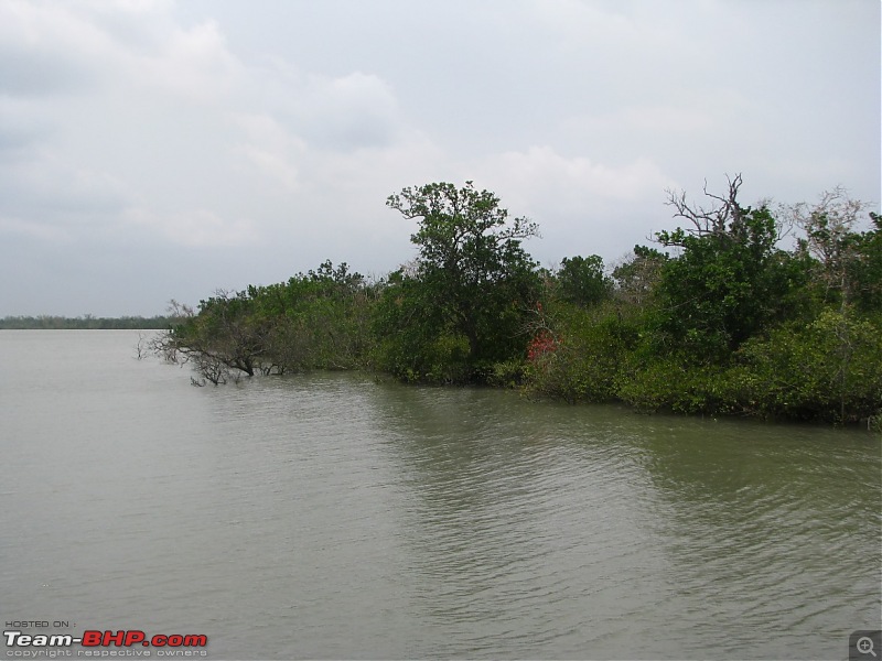 Into the Mangroves of the Sundarbans-img_0093.jpg