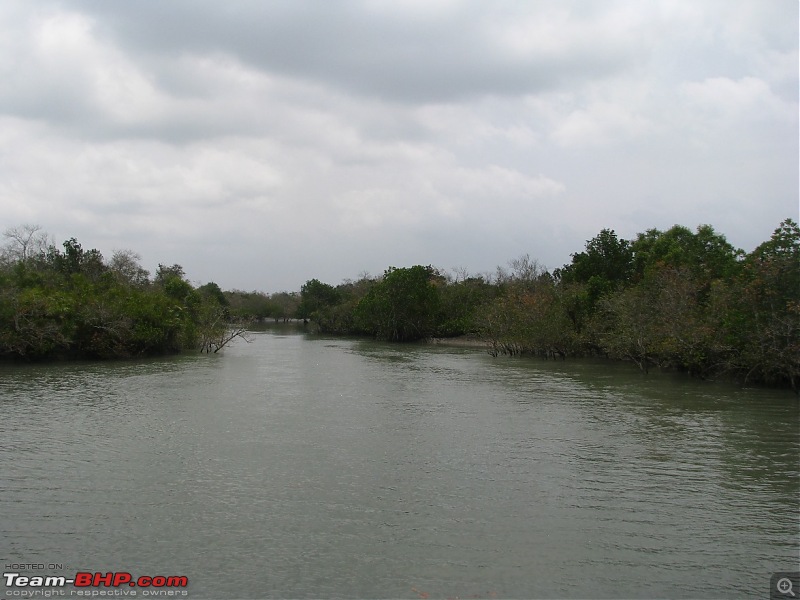 Into the Mangroves of the Sundarbans-img_0100.jpg