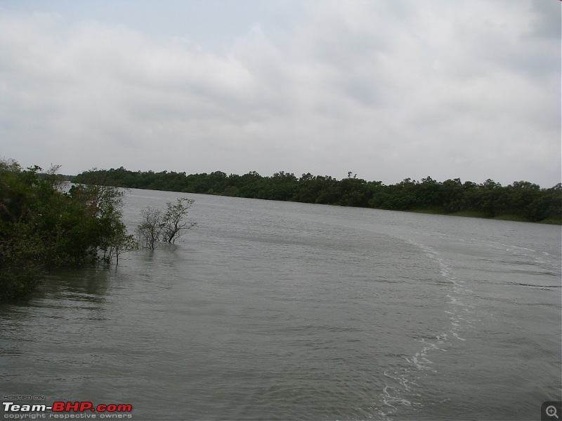 Into the Mangroves of the Sundarbans-img_0103.jpg