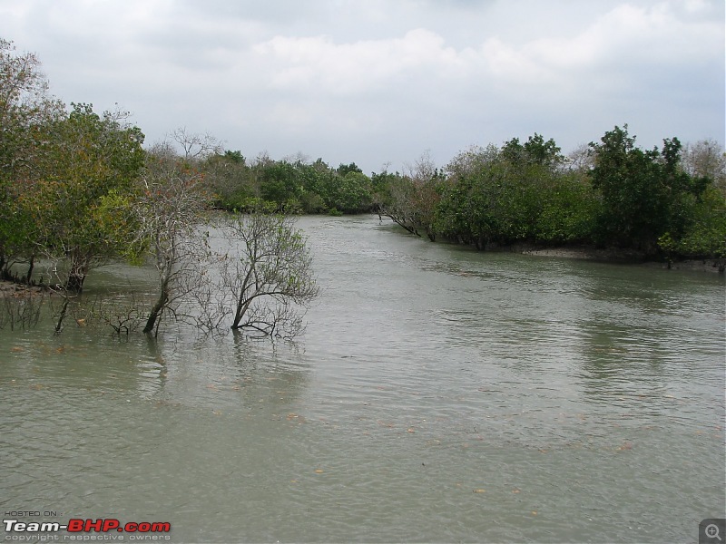 Into the Mangroves of the Sundarbans-img_0108.jpg