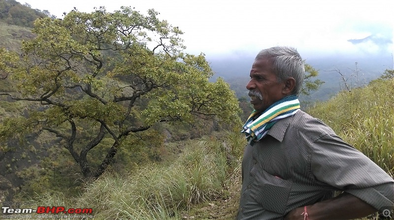 A Tryst to the Elephant Corridor: Palni hills, Tamil Nadu-imag0589.jpg