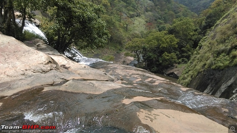 A Tryst to the Elephant Corridor: Palni hills, Tamil Nadu-imag0604.jpg