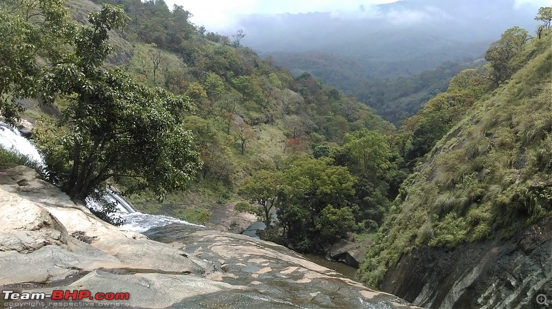 A Tryst to the Elephant Corridor: Palni hills, Tamil Nadu-imag0606.jpg