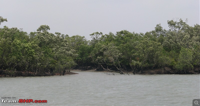 Into the Mangroves of the Sundarbans-img_0133.jpg