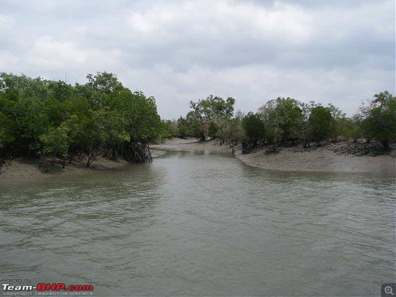 Into the Mangroves of the Sundarbans-img_0150.jpg