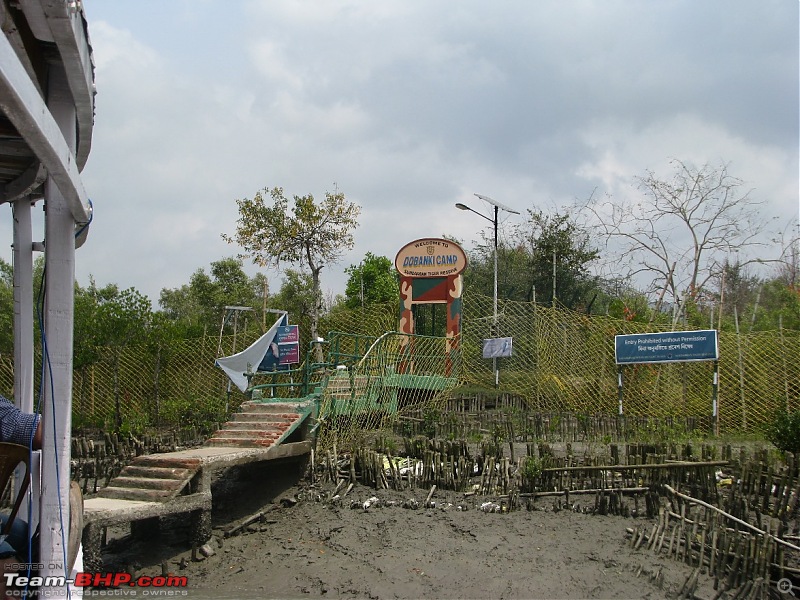 Into the Mangroves of the Sundarbans-img_0153.jpg