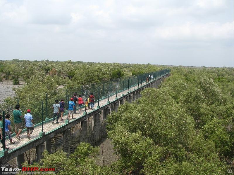 Into the Mangroves of the Sundarbans-img_0163.jpg