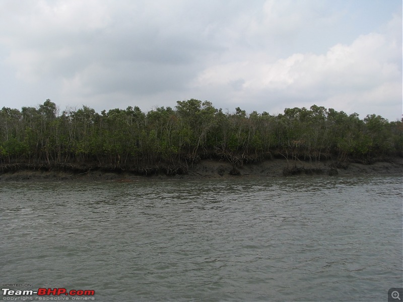 Into the Mangroves of the Sundarbans-img_0172.jpg
