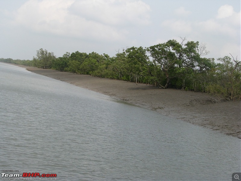 Into the Mangroves of the Sundarbans-img_0185.jpg