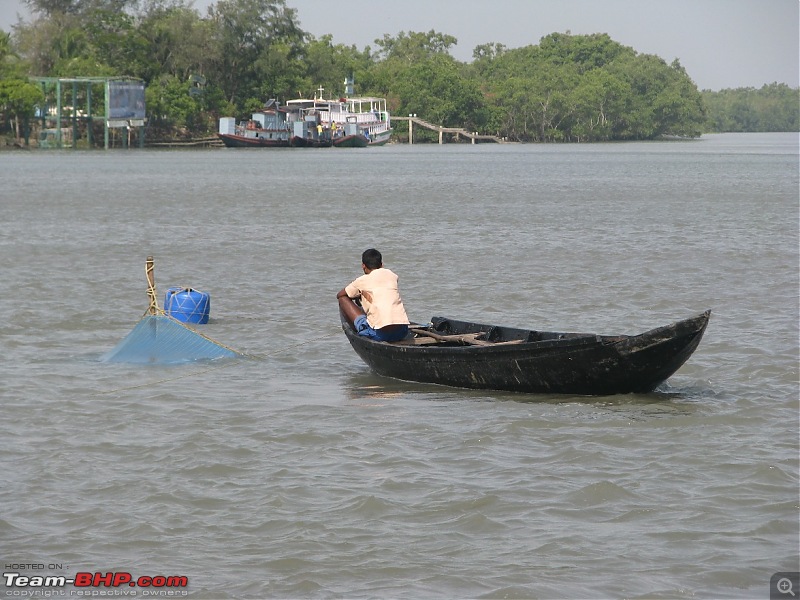 Into the Mangroves of the Sundarbans-img_0249.jpg