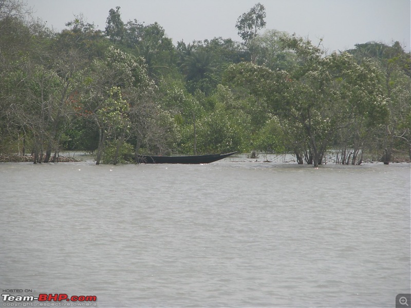 Into the Mangroves of the Sundarbans-img_0264.jpg