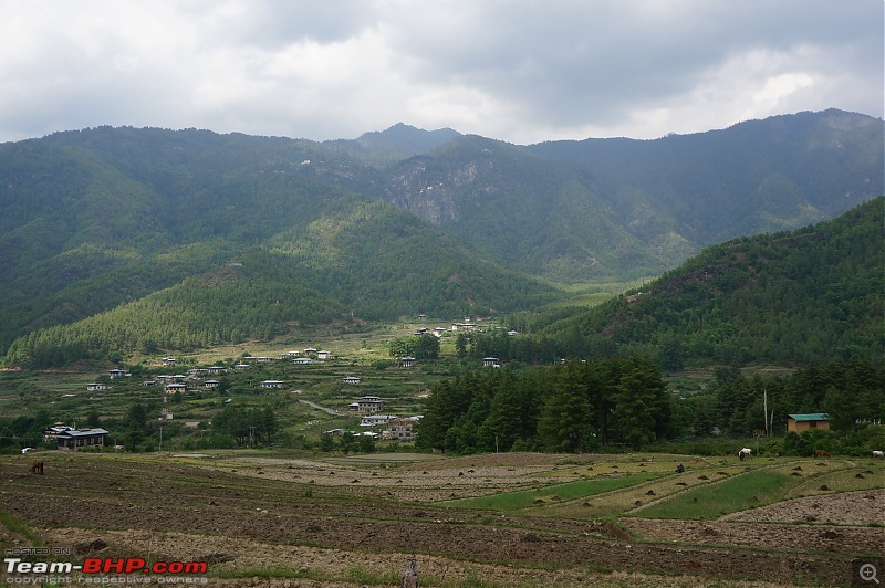 HOGS in the Hills - Bagdogra to Bhutan with Harley-Davidson-1.jpg