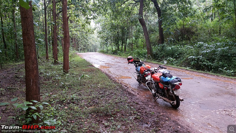 RD350 Diaries: Weekend Getaway to Muthodi (Karnataka)-7.-bhadra-wildlife-sanctuary-muthodi-2.jpg