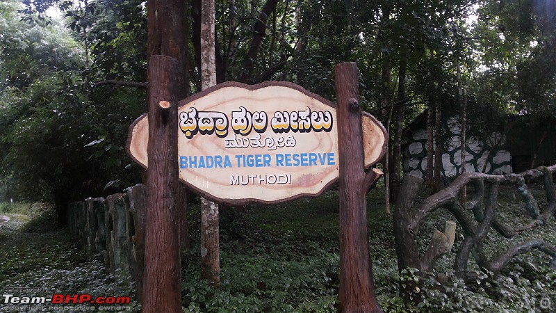 RD350 Diaries: Weekend Getaway to Muthodi (Karnataka)-7.-bhadra-wildlife-sanctuary-muthodi-3.jpg