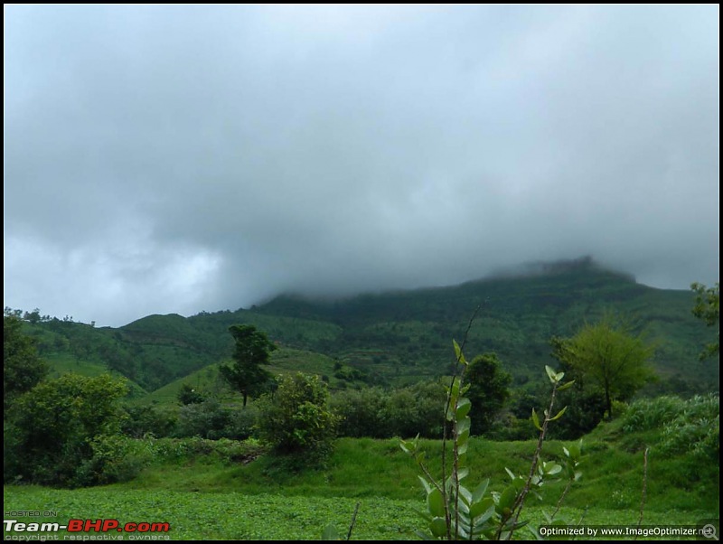Chasing the Rains : Group drive from Bangalore to Panchgani (MH)-day2_22.jpg