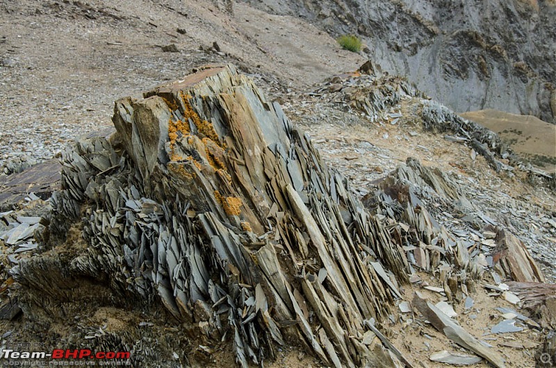 Wanderlust Traveller: Srinagar and Leh in a taxi-suh_3389.jpg