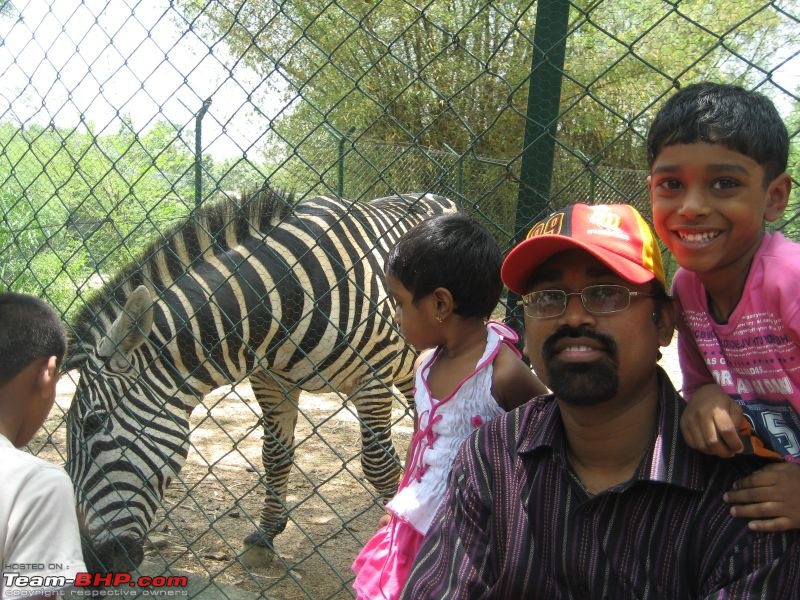 One day trips - Visiting Bannerghatta Zoo & Safari.-img_2152.jpg