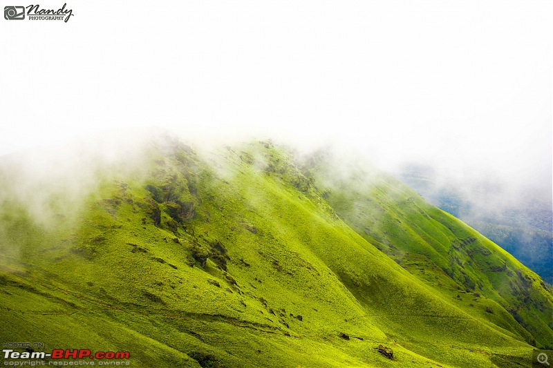 When brown turns green  Ride to Chikmagalur!-dsc_0143.jpg