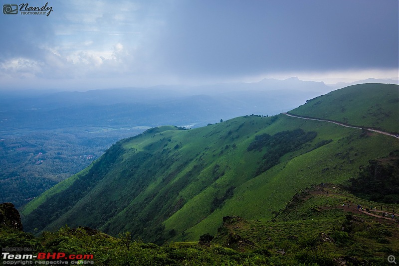 When brown turns green  Ride to Chikmagalur!-dsc_0374.jpg