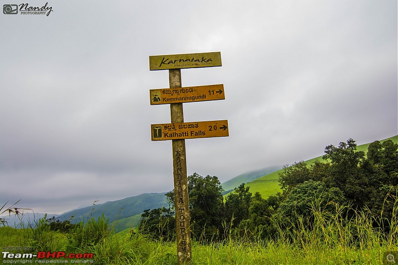 When brown turns green  Ride to Chikmagalur!-dsc_0674.jpg