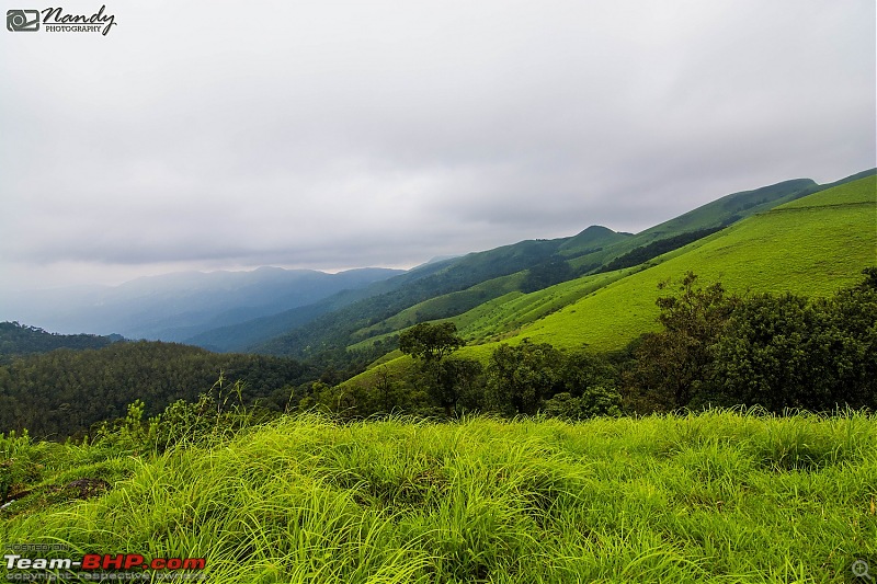 When brown turns green  Ride to Chikmagalur!-dsc_0659.jpg