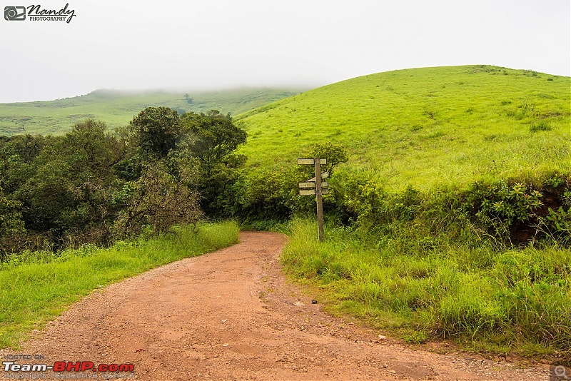 When brown turns green  Ride to Chikmagalur!-dsc_0675.jpg