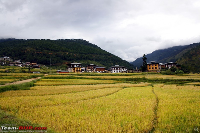 Where no Elantra has gone before - 5500 kms, 6 States & Bhutan!-punakha_02.jpg