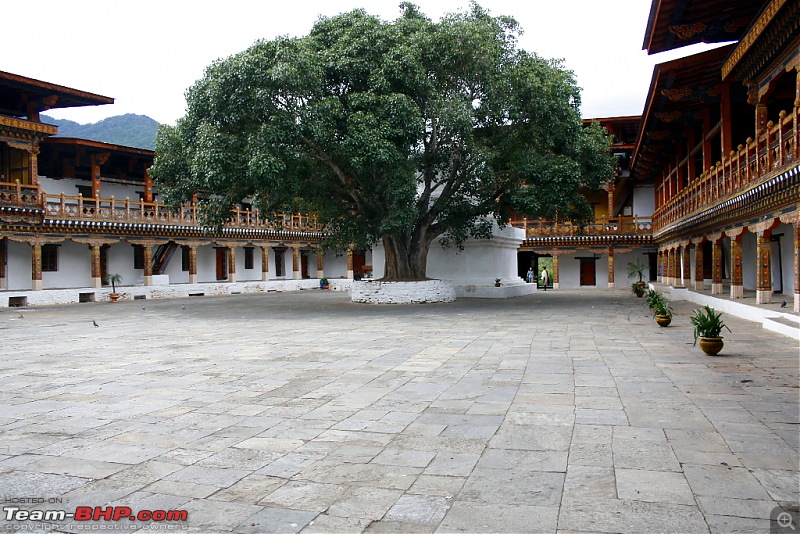 Where no Elantra has gone before - 5500 kms, 6 States & Bhutan!-punakha_09.jpg