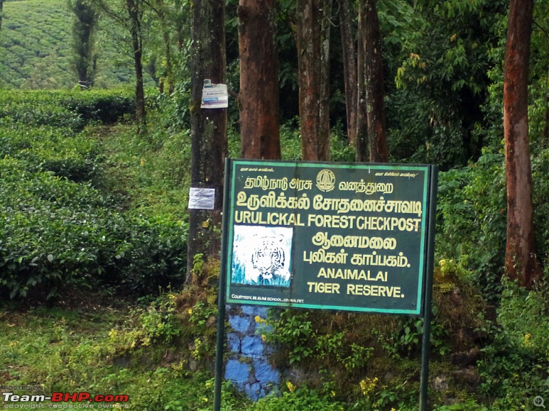 A thrilling weekend at the Manampalli Forest-5.jpg