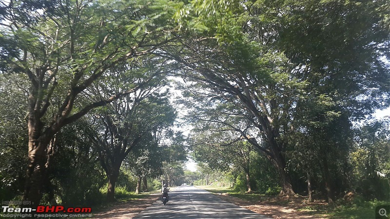 A mesmerizing drive from Bangalore to Murudeshwara & Jog Falls-img_2473.jpg