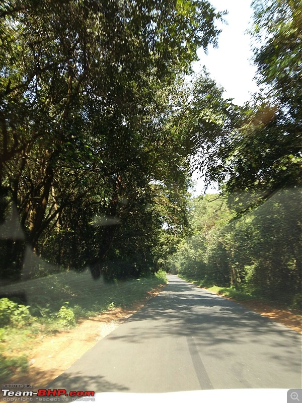 A mesmerizing drive from Bangalore to Murudeshwara & Jog Falls-img_2444.jpg