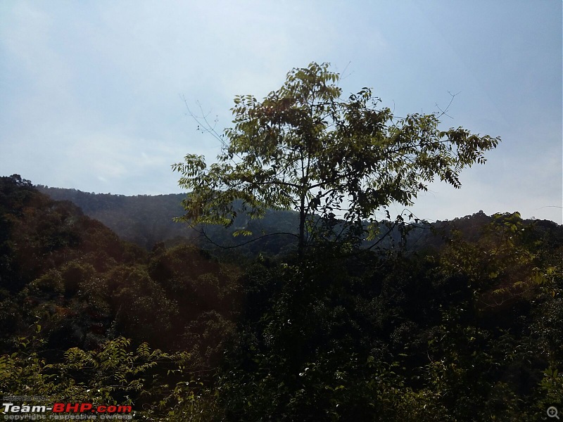 A mesmerizing drive from Bangalore to Murudeshwara & Jog Falls-img_2447.jpg