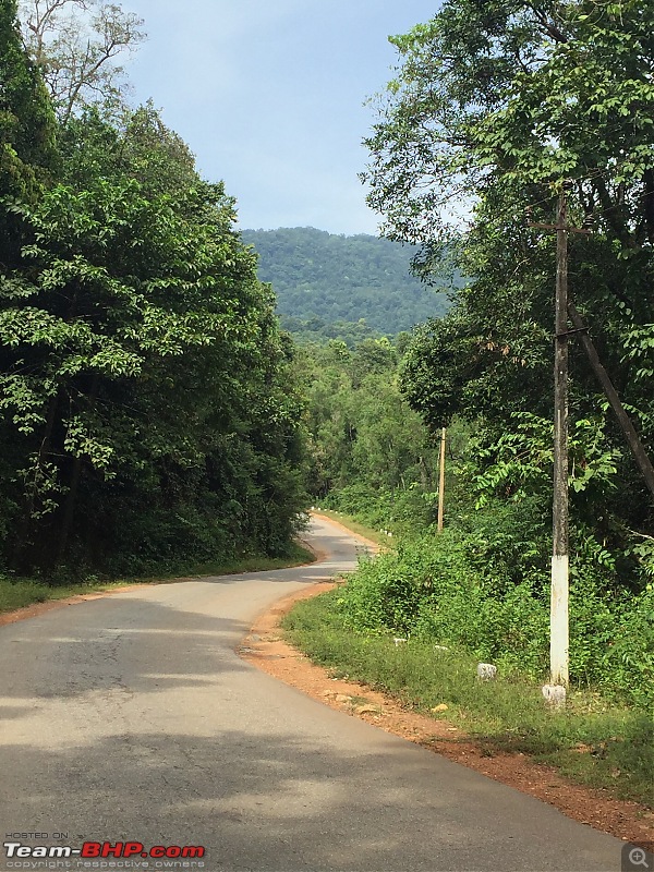 A mesmerizing drive from Bangalore to Murudeshwara & Jog Falls-img_2642.jpg