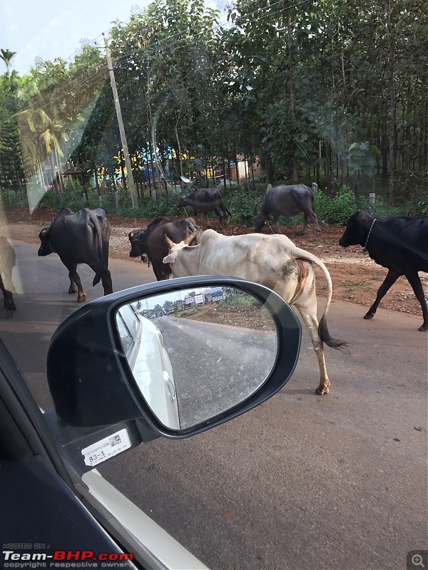 A mesmerizing drive from Bangalore to Murudeshwara & Jog Falls-img_2659.jpg