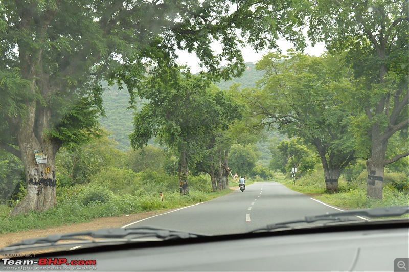 A fascinating drive to the land of tea estates - Chennai to Valparai-dsc_0158.jpg