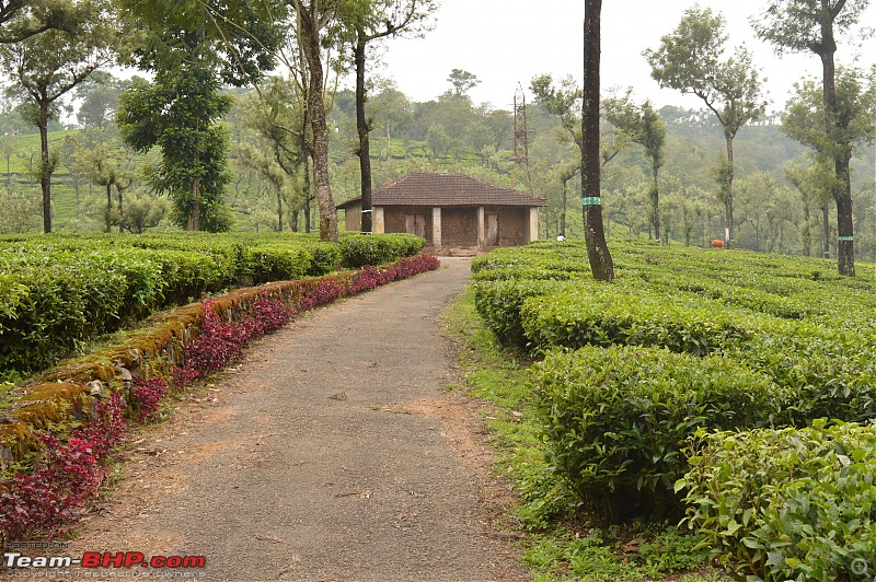 A fascinating drive to the land of tea estates - Chennai to Valparai-dsc_0434.jpg