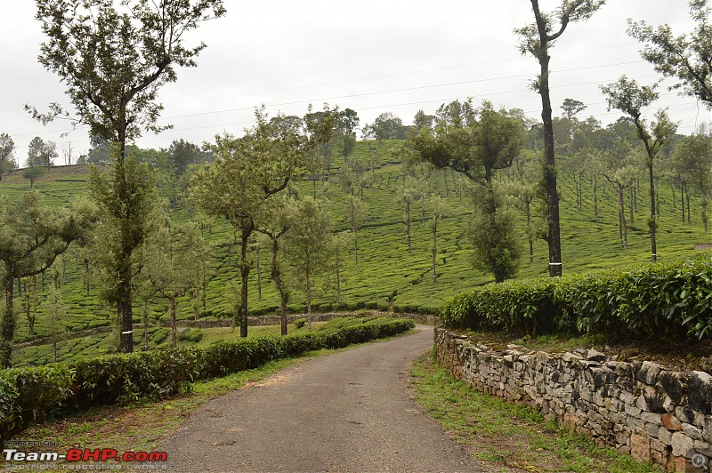 A fascinating drive to the land of tea estates - Chennai to Valparai-dsc_0454.jpg