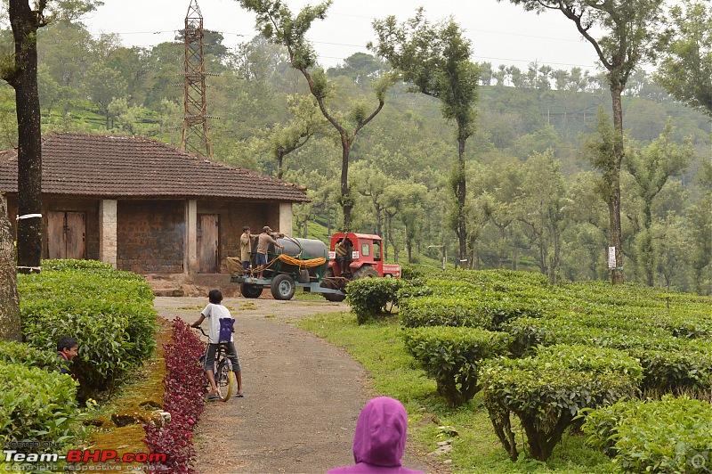 A fascinating drive to the land of tea estates - Chennai to Valparai-dsc_0464.jpg