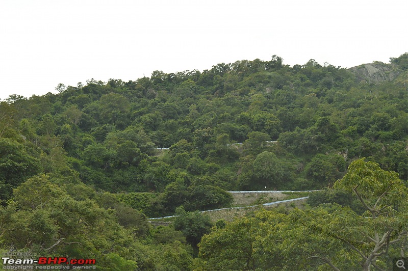 A fascinating drive to the land of tea estates - Chennai to Valparai-dsc_0770.jpg