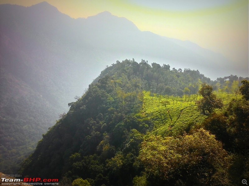 Punto diaries: Coonoor!-p_20160116_090239_hdr.jpg