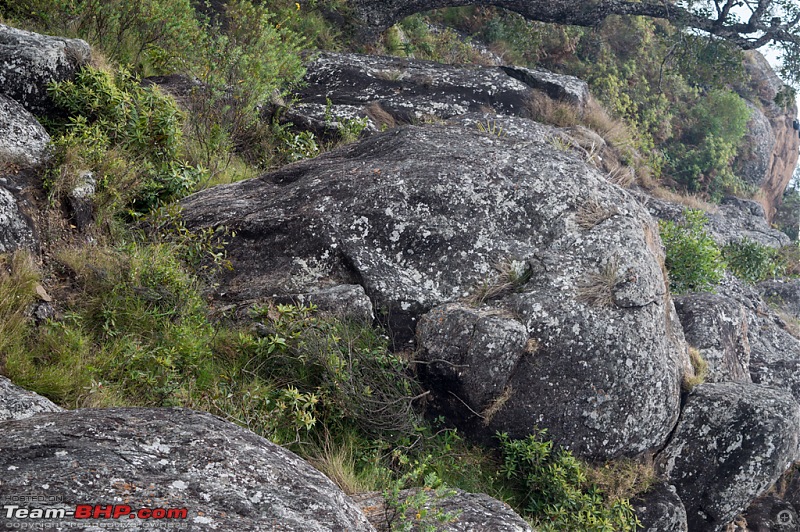 Punto diaries: Coonoor!-dsc_0160.jpg