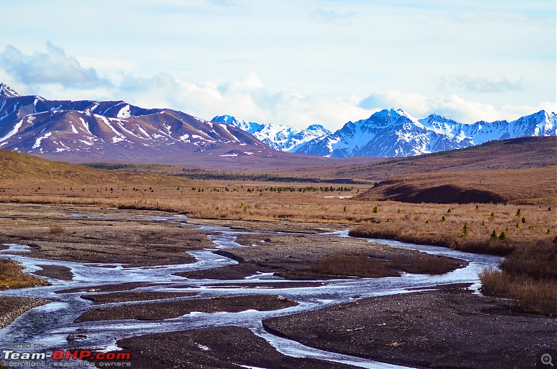 66 Degrees North: Roadtripping in Alaska-denali-park8974.jpg