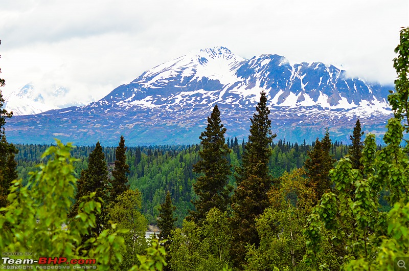 66 Degrees North: Roadtripping in Alaska-denali-park9048.jpg