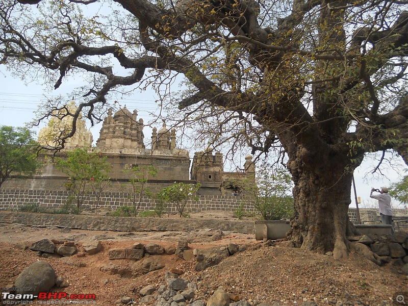 Short Sunday drive to Theur Chintamani & Bhuleshwar Temples-temple-backdrop-tree.jpg